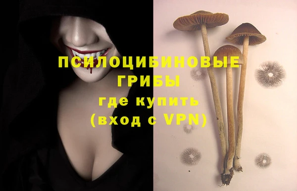 ГАЛЛЮЦИНОГЕННЫЕ ГРИБЫ Балабаново