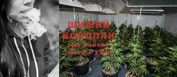 ГАЛЛЮЦИНОГЕННЫЕ ГРИБЫ Балабаново