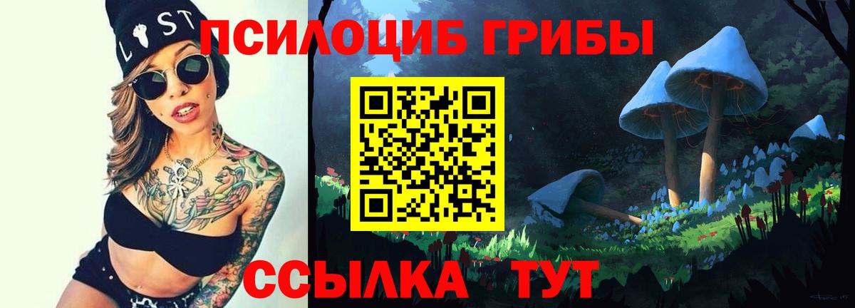 Галлюциногенные грибы Psilocybine cubensis Усть-Джегута