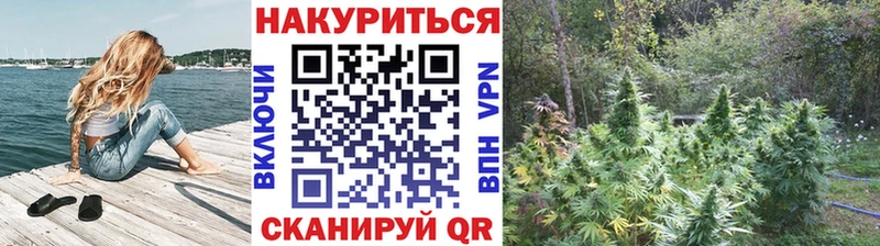 Бошки Шишки VHQ  Усть-Джегута 